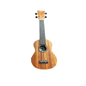 Aston soprano ukulele